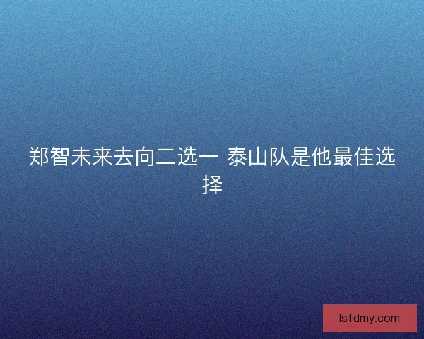 郑智未来去向二选一 泰山队是他最佳选择