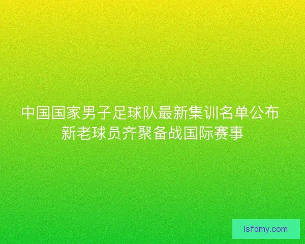 中国国家男子足球队最新集训名单公布 新老球员齐聚备战国际赛事